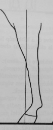 k6